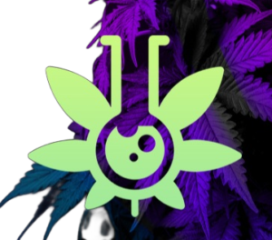 Оператор магазина legal-stuff-rc.